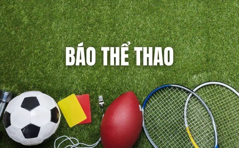 Báo Thể Thao Net88 – Điểm Đến Lý Tưởng Của Tín Đồ Thể Thao