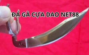 Đá Gà Cựa Dao Tại Net88 - Môn Thể Thao Kịch Tính Đầy Hấp Dẫn