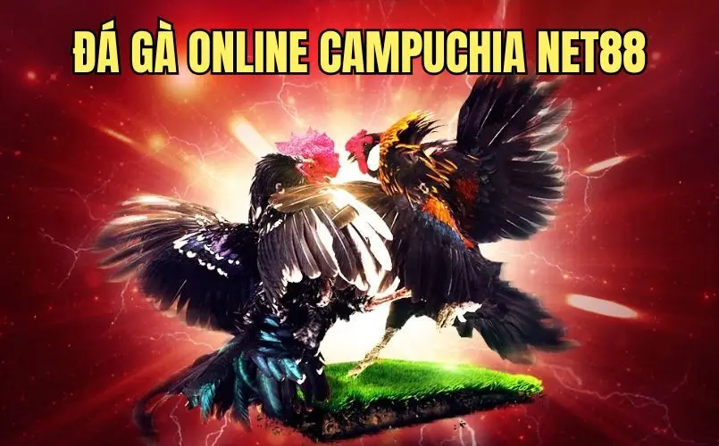 Đá Gà Online Campuchia Net88 – Những Trận Kê Chiến Rực Lửa