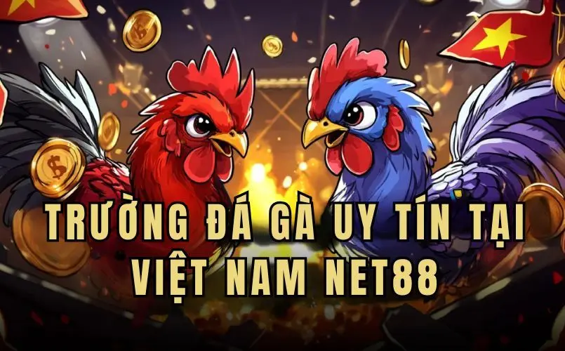 Trường Đá Gà Uy Tín Tại Việt Nam Net88 – Sân Chơi Cho Kê Thủ