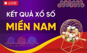 Kết Quả Xổ Số Hôm Nay Net88 - Cập Nhật Nhanh Chóng, Chính Xác